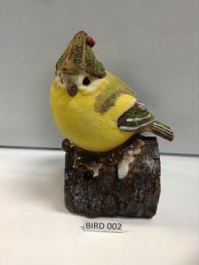 SINGING BIRD 002